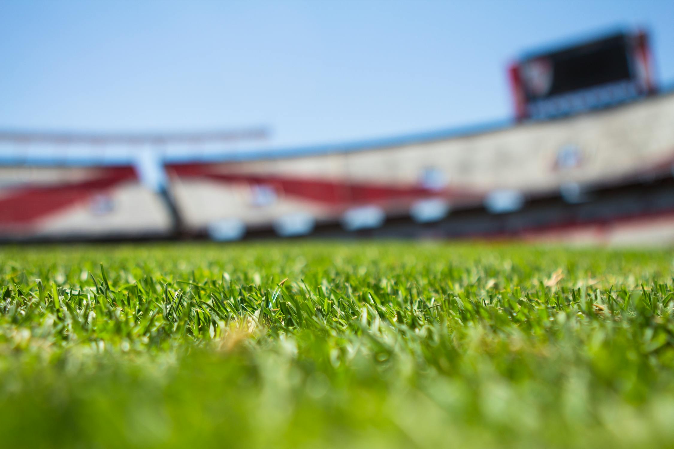grass