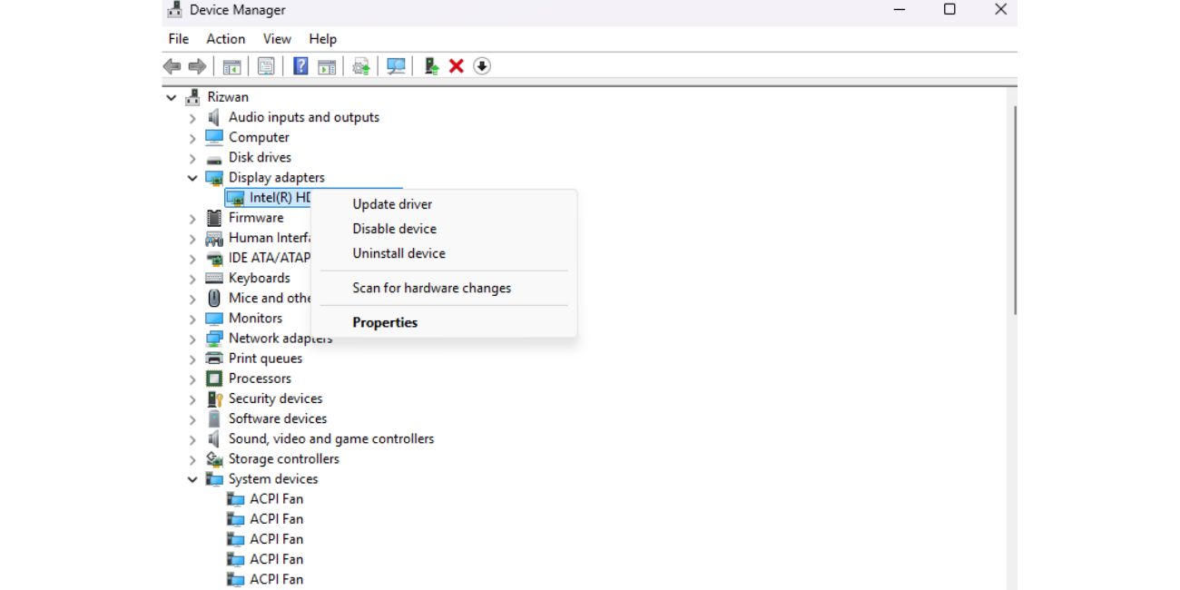 Update or Reinstall Graphics Drivers