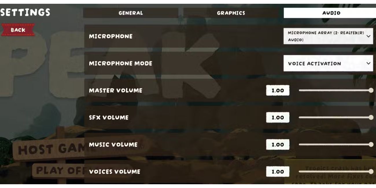 Check In-Game Audio Settings