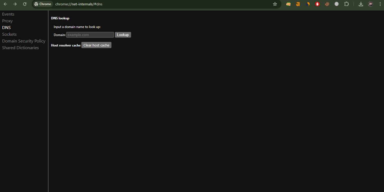 What is chrome://net-internals/#dns in Google Chrome