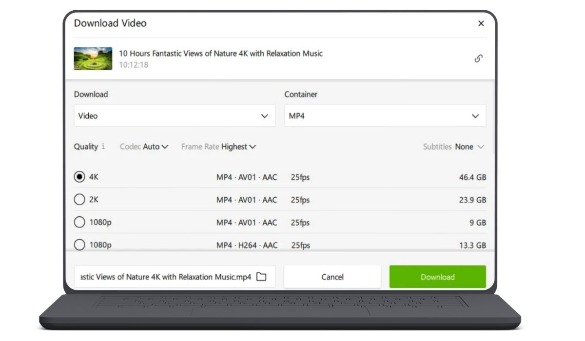 Why Does 4K Video Downloader Stop Working?