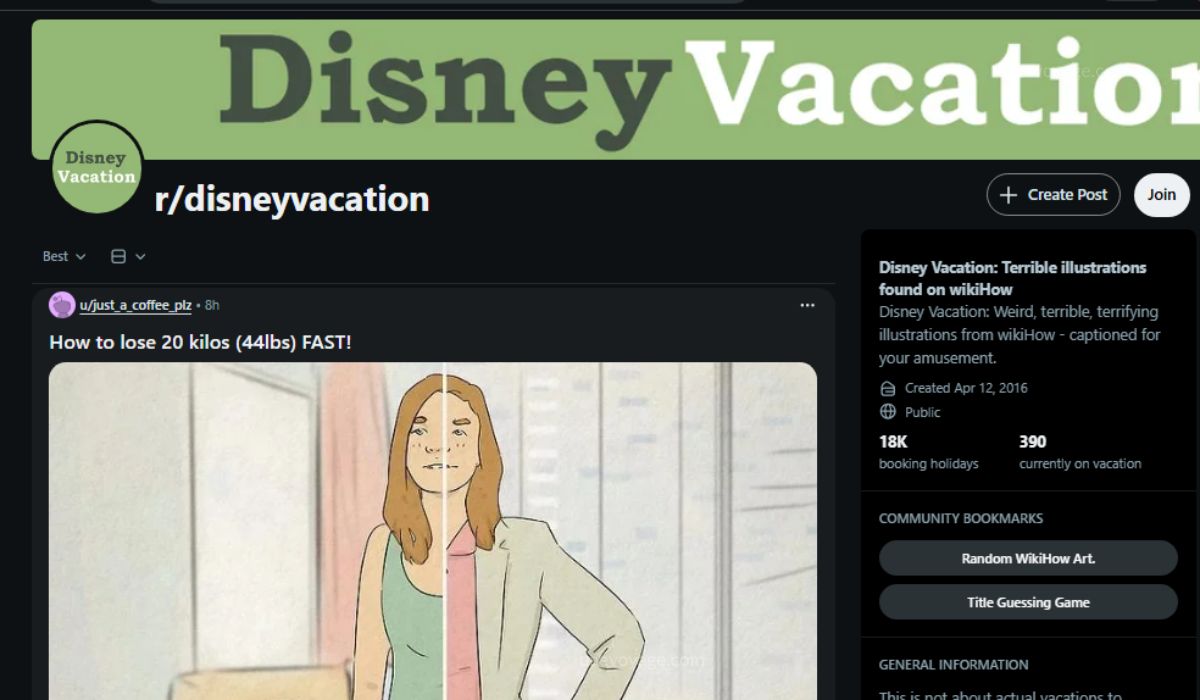 r/disneyvacation Helped Turn WikiHow Images into a Meme Format