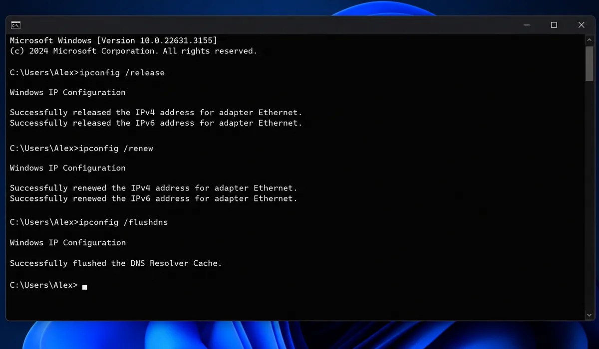 Command prompt window showing DNS flush commands executed successfully